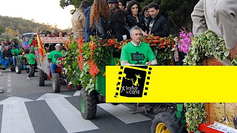 Vigoplan | Festival De Cans 2020 Festival De Cine En Galicia