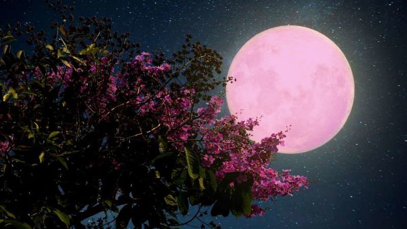 Lee más sobre el artículo Luna de Fresa 2020 | Eclipse penumbral