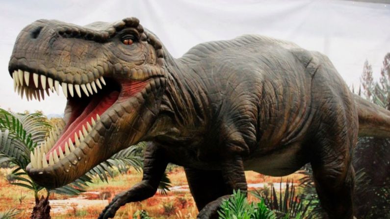 Vigoplan | Dinosaurs Live The Exhibition Concello La Guardia