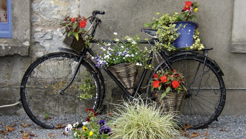 Lee más sobre el artículo Festa da Bicicleta 2021 de Nigrán