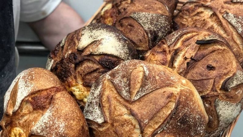 Lee más sobre el artículo PanDemonium | Inauguración y Master Bakers 2021