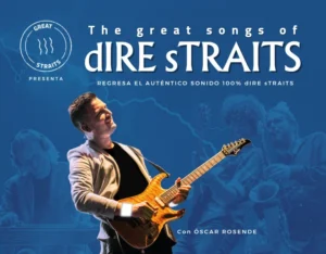 Vigoplan | The Great Songs Of Dire Straits