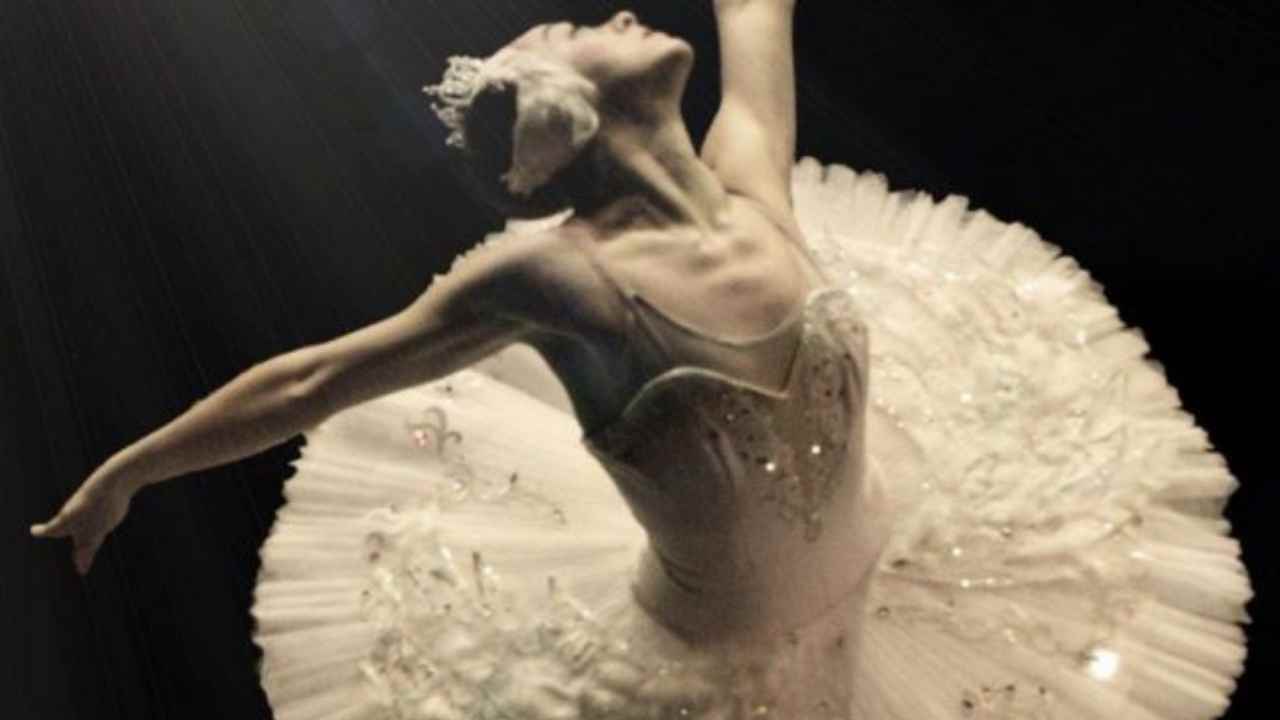 Vigoplan | El Lago De Los Cisnes | International Ballet Company De Moldavia