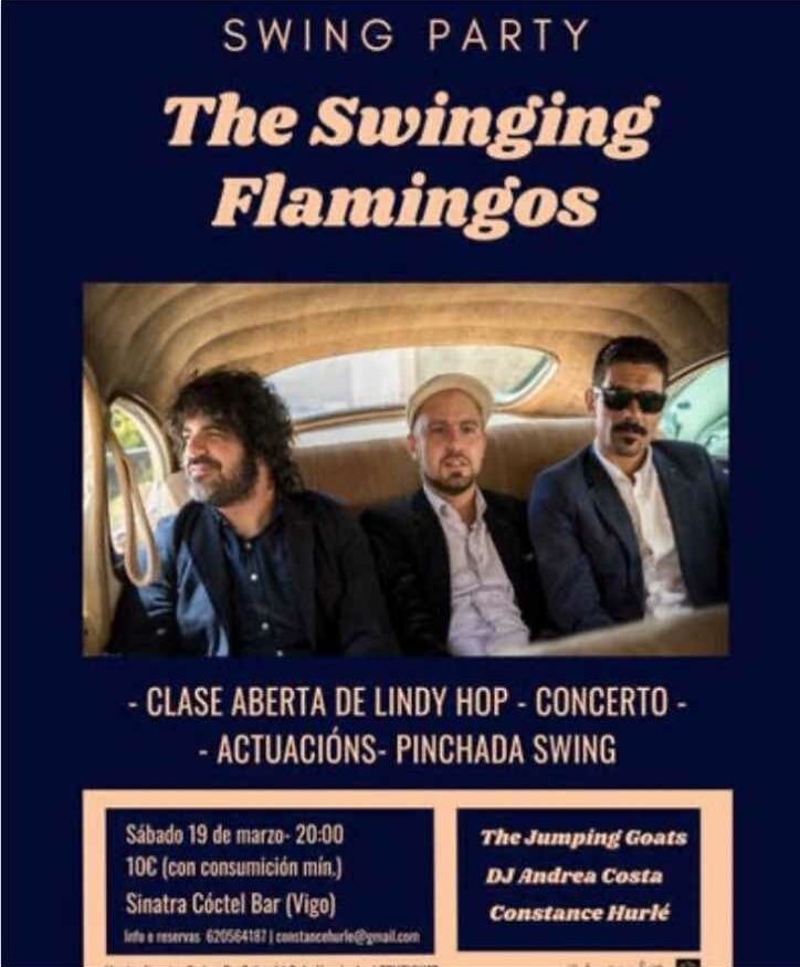 Vigoplan | The Swinging Flamingos | Swing Party 2