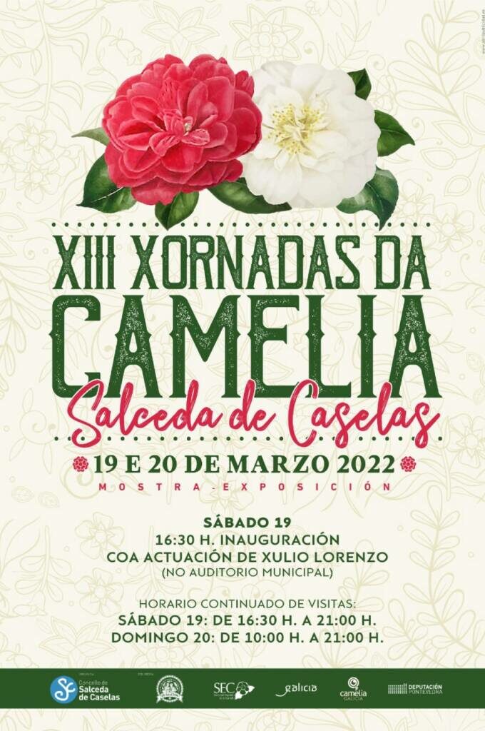 Vigoplan | Camelia Salceda De Caselas