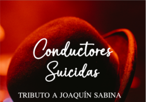 Vigoplan | Conductores Suicidas