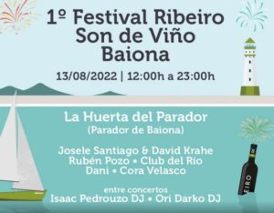 Vigoplan | Son De Viño 1º Festival Ribeiro