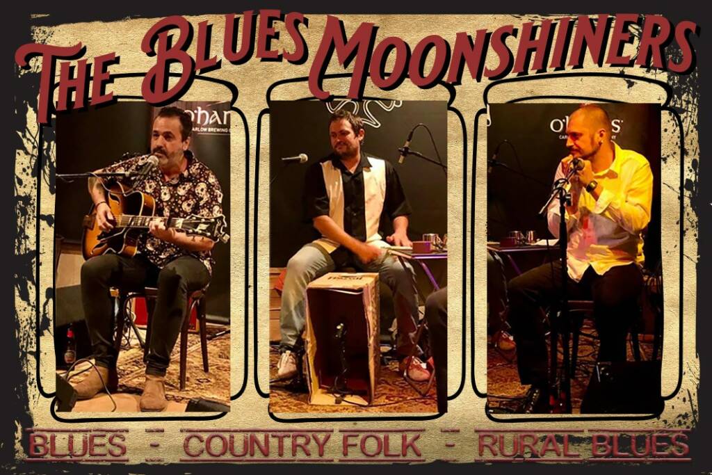 Lee más sobre el artículo The Blues Moonshiners | La Pecera