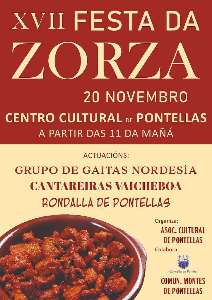 Vigoplan | Festa Da Zorza O Porriño Img8551n1t0