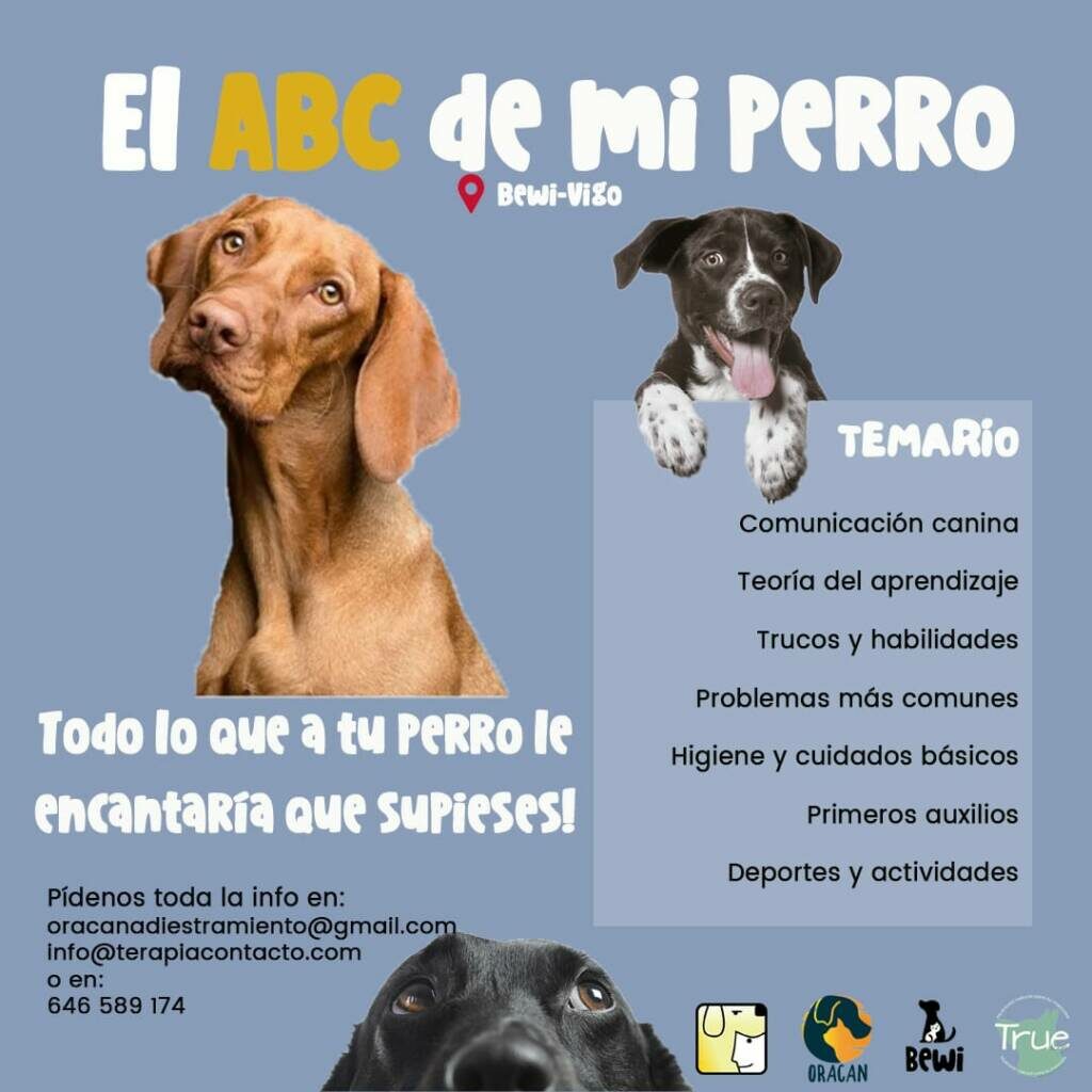 Vigoplan | El Abc De Mi Perro
