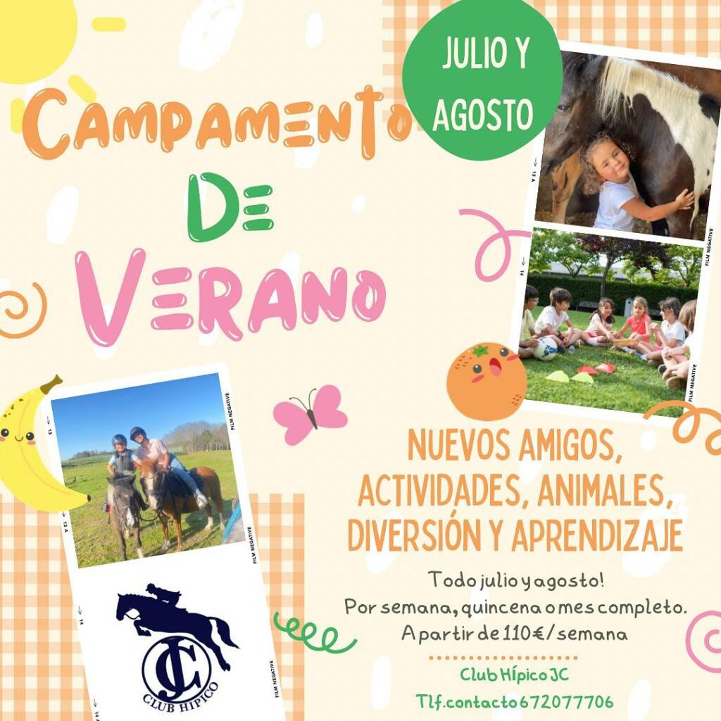 Vigoplan | Campamento De Verano Hipica Jc