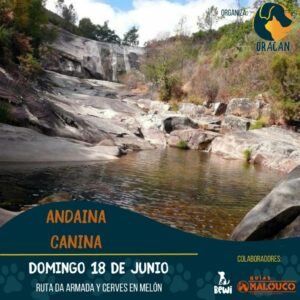 Vigoplan | Andaina Canina