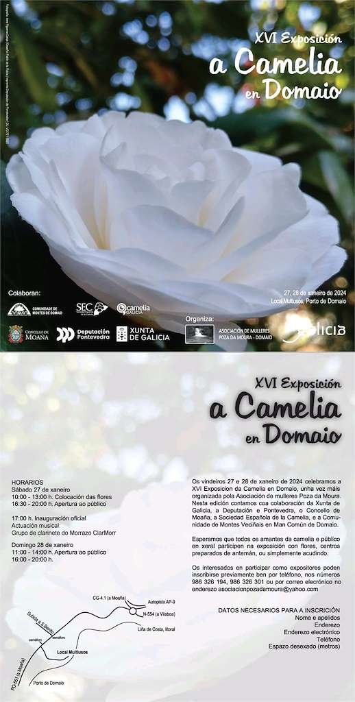 Vigoplan | Exposicion De Camelias De Domaio Moaña Img4588n1t0