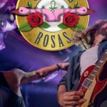 Gansos Rosas | Concierto en Vigo