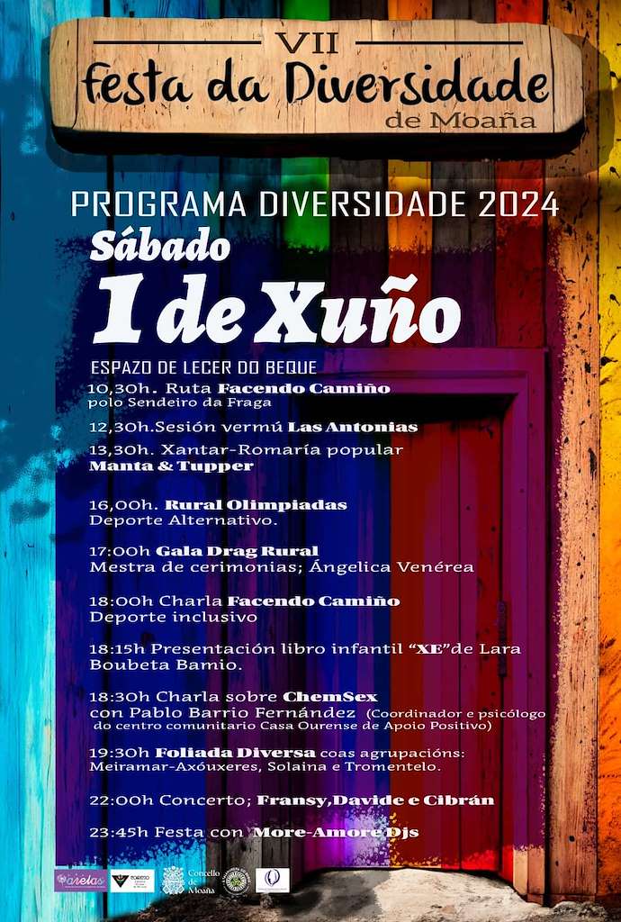 Vigoplan | Festa Da Diversidade Moaña Img15889n2t0
