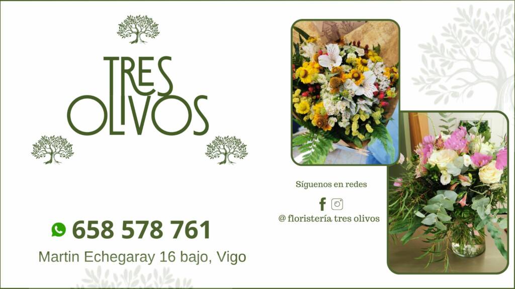 Vigoplan | 658578761 Martin Echegaray 16 Bajo (1)