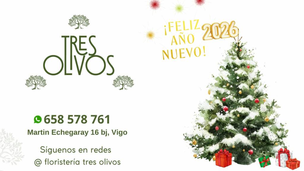 Vigoplan | Gracias (10)