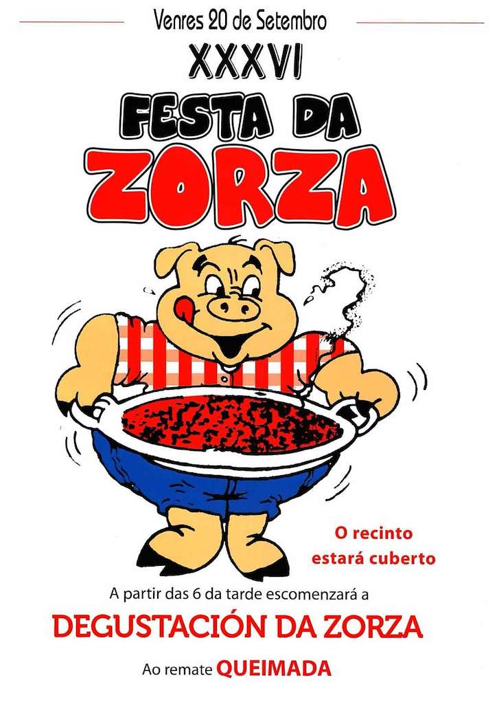 Vigoplan | Festa Da Zorza A Guarda Img2843n1t0