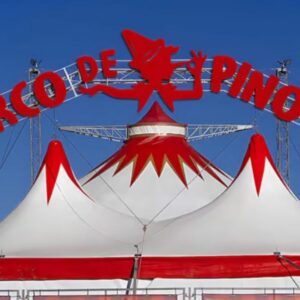 Vigoplan | Circo De Pinocho