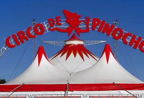 Vigoplan | Circo De Pinocho