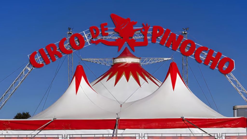 Vigoplan | Circo De Pinocho