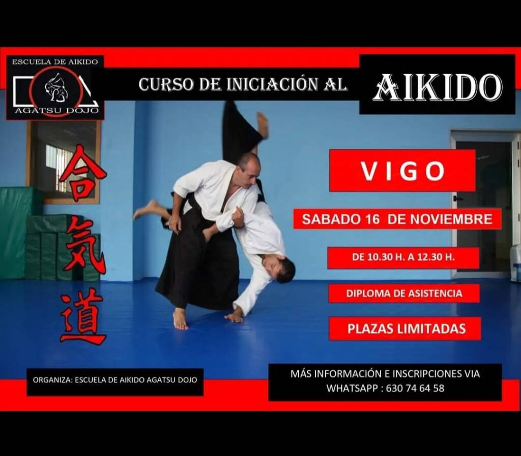 Vigoplan | Curso De Iniciación Al Aikido