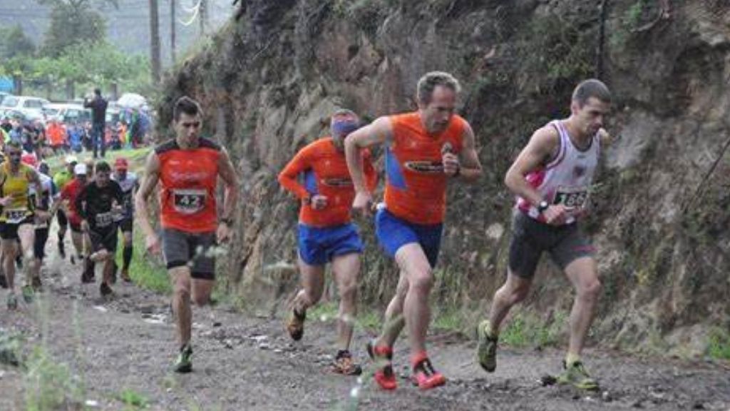 Lee más sobre el artículo VIII Trail Montes de Vigo (2024)