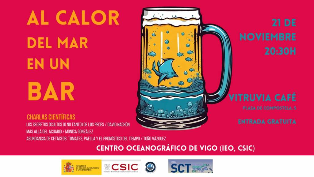 Vigoplan | Al Calor Del Mar En Un Bar