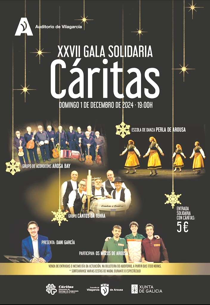 Vigoplan | Concerto Solidario Caritas Vilagarcia De Arousa Img6233n1t0