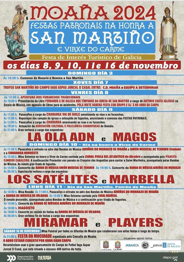 Vigoplan | Festas Do San Martiño Moaña Img121n1t0