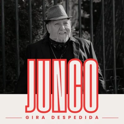 Vigoplan | El Junco