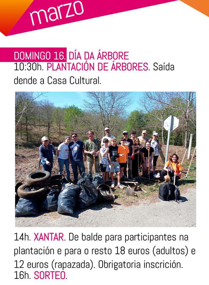 Vigoplan | Dia Da Arbore De Arcos Ponteareas