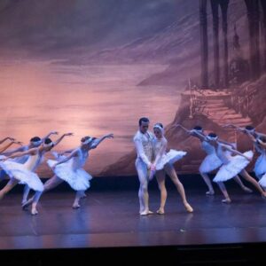 Vigoplan | El Lago De Los Cisnes Ballet De Kiev