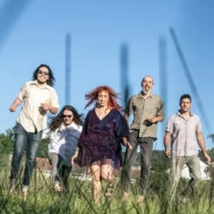 Vigoplan | Netta Rufina