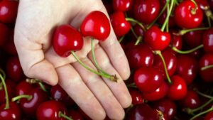 Vigoplan | Cerezas Beade