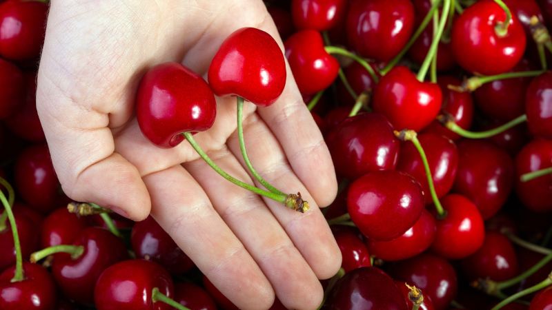Vigoplan | Cerezas Beade
