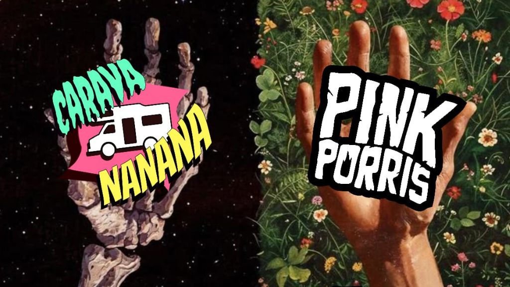 Vigoplan | Carava Nanana Y Pink Porris Ocean Rock Bar