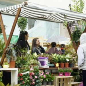 Vigoplan | Xx Feira De Cultivos Do Baixo Miño Tomiño