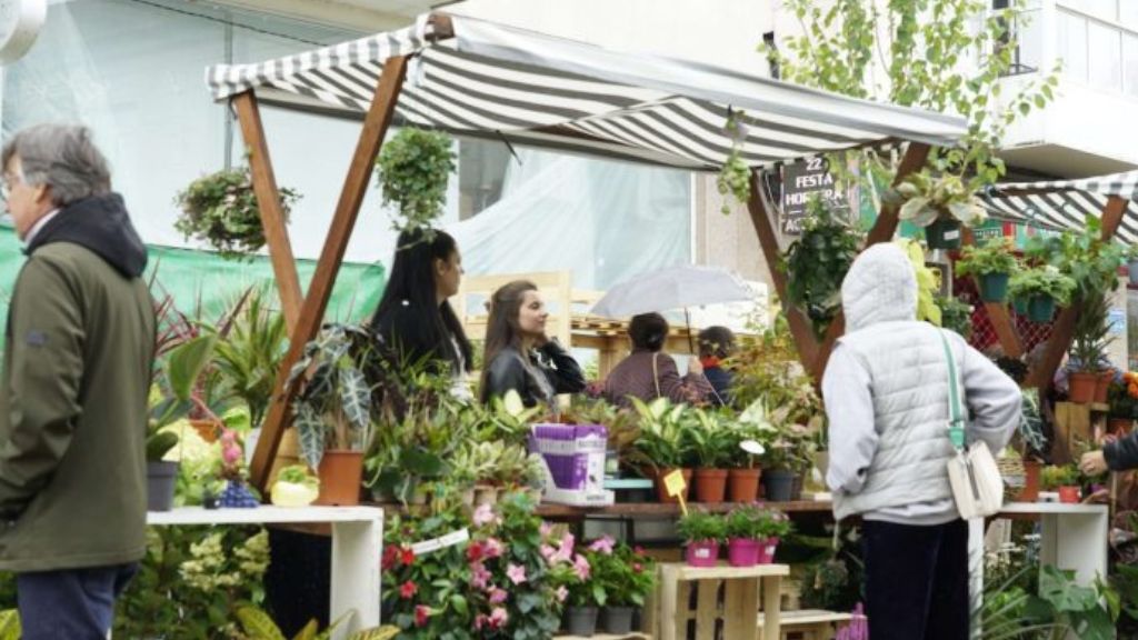 Vigoplan | Xx Feira De Cultivos Do Baixo Miño Tomiño