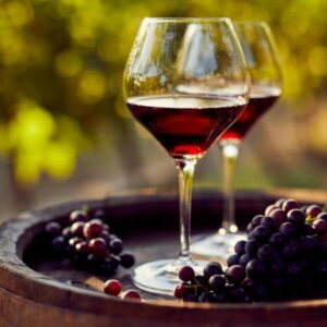 Vigoplan | Copas De Vino Soutomaior