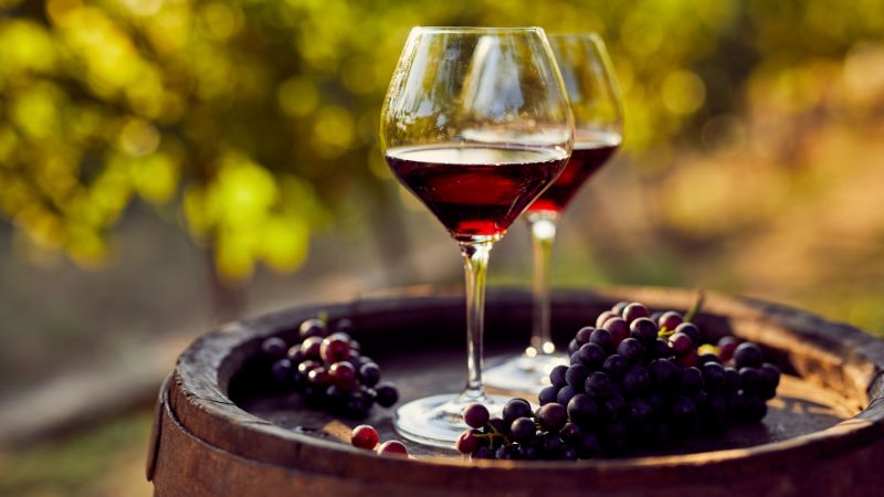Vigoplan | Copas De Vino Soutomaior