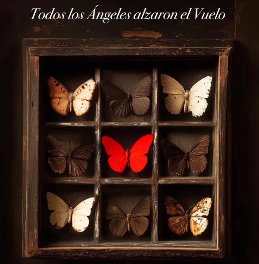 Vigoplan | La Zaranda Mostra De Teatro De Cangas