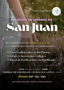 Vigoplan | Recogida De Hierbas De San Juan