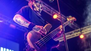 Vigoplan | The Wild