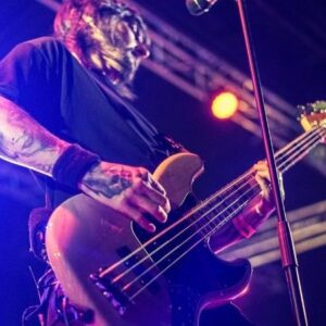 Vigoplan | The Wild