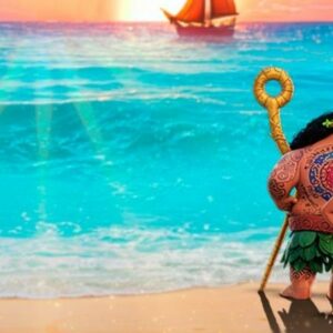 Vigoplan | Tributo A Vaiana Ponteareas