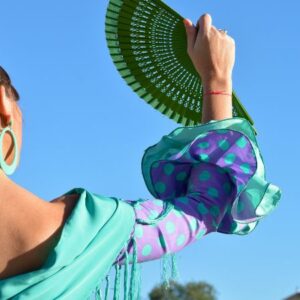 Vigoplan | Feria De Abril Vigo