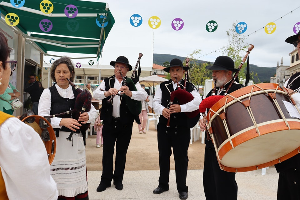 Vigoplan | Feria Del Vino De O Rosal