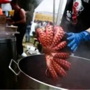 Vigoplan | Festa Gastronómica Do Pulpo