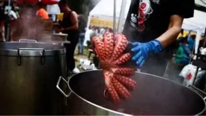 Vigoplan | Festa Gastronómica Do Pulpo